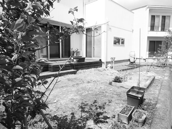 DSC06994