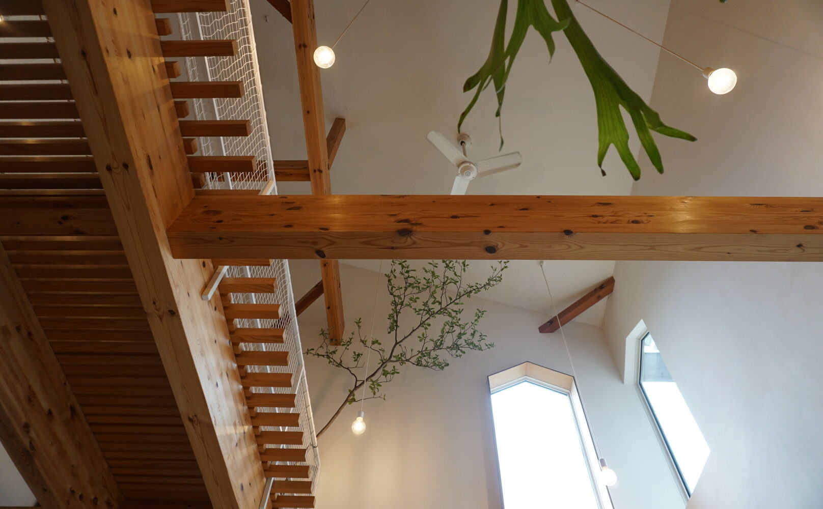 株式会社 建舎団居 STUDIO MADOI まどいのくらしの相談会｜オンライン開催中